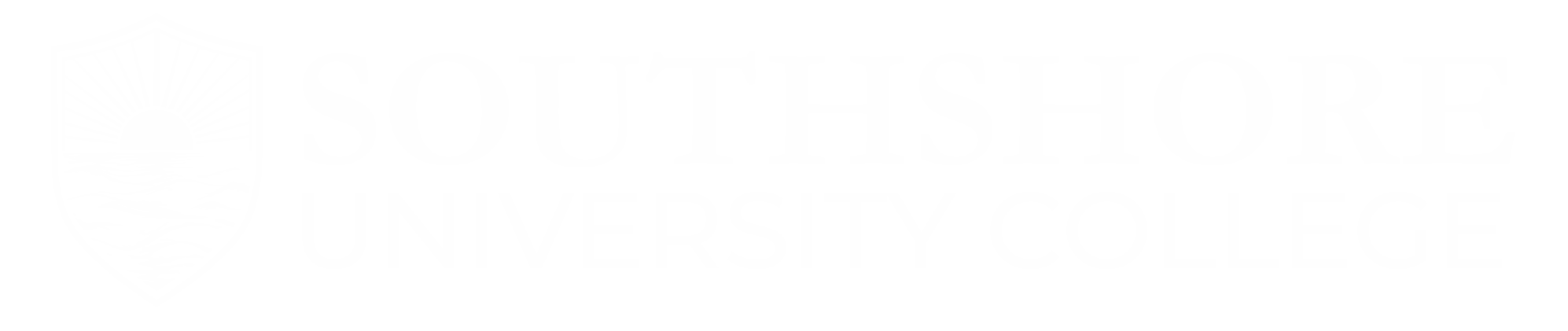Southshore university College